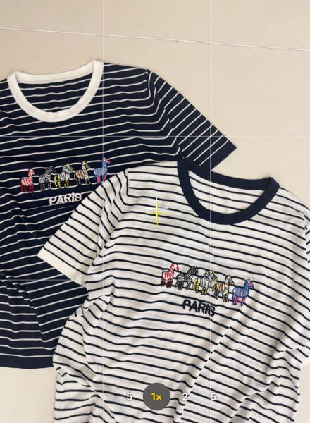 DYJ2602617绢丝小马刺绣条纹T 商品图5