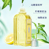 3253581766989 欧舒丹L'OCCITANE 欧舒丹果漾马鞭草沐浴露250ml（马鞭草） 商品缩略图2