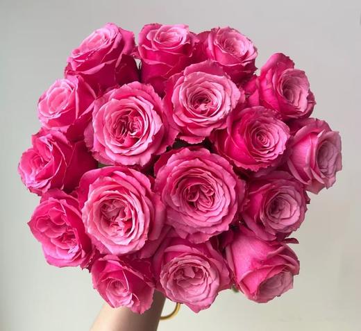 A级小红莓单头玫瑰5扎 商品图0