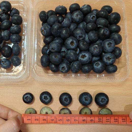 【分销】99元到手12盒约3斤，云南L25花香蓝莓！佳沃悦美添品牌，顺丰生鲜，品质保证，坏果包赔，花香脆甜 商品图3