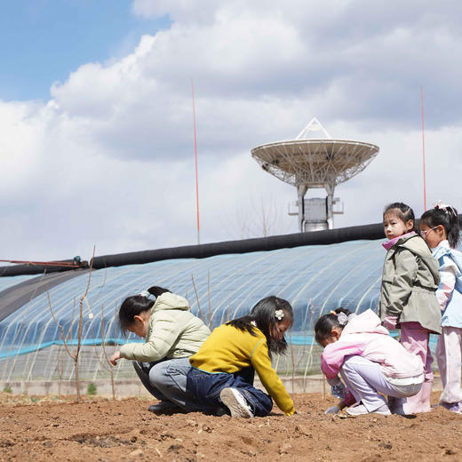 4月周末活动：「种玉米、捞蝌蚪捞虾、放风筝」「虫子面包、探索蚯蚓、蚯蚓运动会」（26） 商品图4