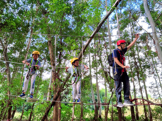 4.19/4.25【双流-做回野孩子】丛林穿越、草坪游戏、攀树挑战、学习专业攀树绳结 ，收获勇气与动手能力，化身林间小勇士 商品图7
