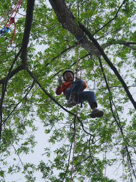 4.19/4.25【双流-做回野孩子】丛林穿越、草坪游戏、攀树挑战、学习专业攀树绳结 ，收获勇气与动手能力，化身林间小勇士 商品图3