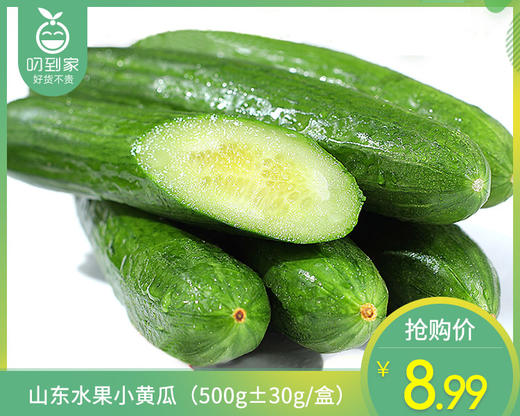 山东水果小黄瓜（500g±30g/盒） 商品图0