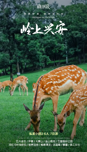 【东北】她的旅行·岭上兴安 7天6晚