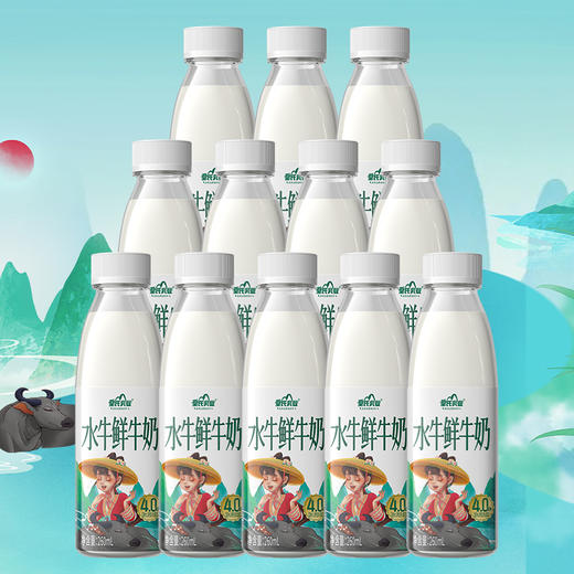 皇氏乳业水牛鲜牛奶 低温水牛鲜奶260ml*12瓶 4.0g蛋白质 顺丰包邮 商品图6
