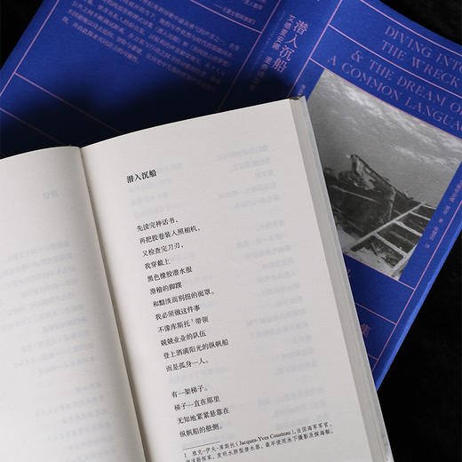 潜入沉船：艾德里安娜·里奇诗合集 商品图7