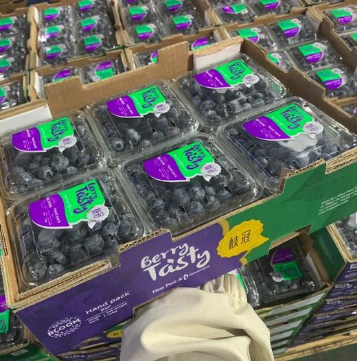 品牌云南纯甜蓝莓十二合一15+中果顺丰包邮*1.5kg 商品图4