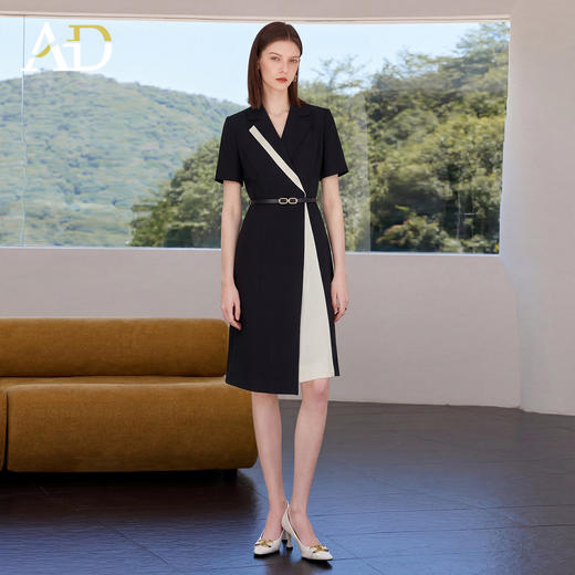 AD正式场合西装连衣裙女夏2026新款高级感大方得体穿搭主持人裙子 商品图3