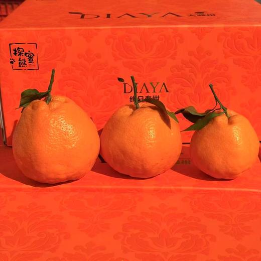 【会员15/斤】 探蜜熊大雅柑 商品图7