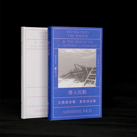 潜入沉船：艾德里安娜·里奇诗合集 商品图5