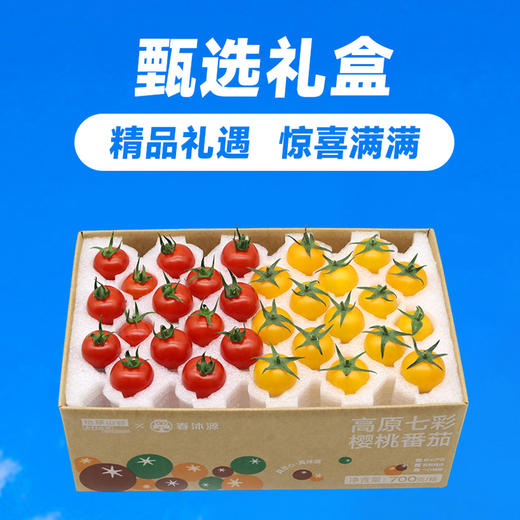高原七彩樱桃番茄（红黄双拼）甄选礼盒 商品图1