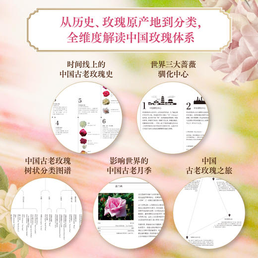中信出版 | 寒地玫瑰定制版 玫瑰传奇：中国古老玫瑰图谱解读 商品图4