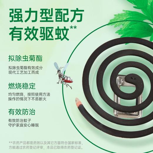 榄菊 加大盘强力型免拆蚊香筒（纸筒） 36单圈/桶 商品图1