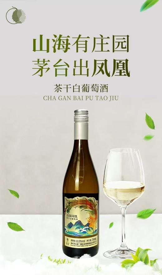2025年茅台茶干白葡萄酒，酒精度12.5度，整箱750ml*6瓶，优势现货。怕查 商品图7