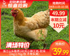 洛江山头散养180天小种土鸡-砍块（1kg±70g/份 不带头尾） 商品缩略图0