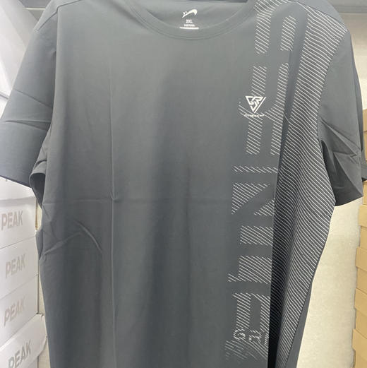 XY/贵人鸟短袖T恤男装针织圆领运动休闲T恤T1252283 商品图1