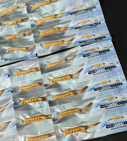 【西藏那曲新鲜冬虫夏草】西藏那曲正宗产地 4600米以上高海拔产区 商品图7