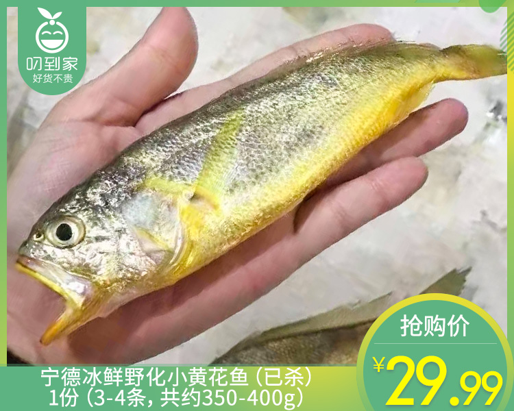 宁德冰鲜野化小黄花鱼（已杀）/1份（3-4条，共约350-400g）