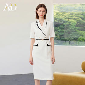 AD正式场合西装连衣裙女夏2026年新款高端大气上档次高知得体裙子