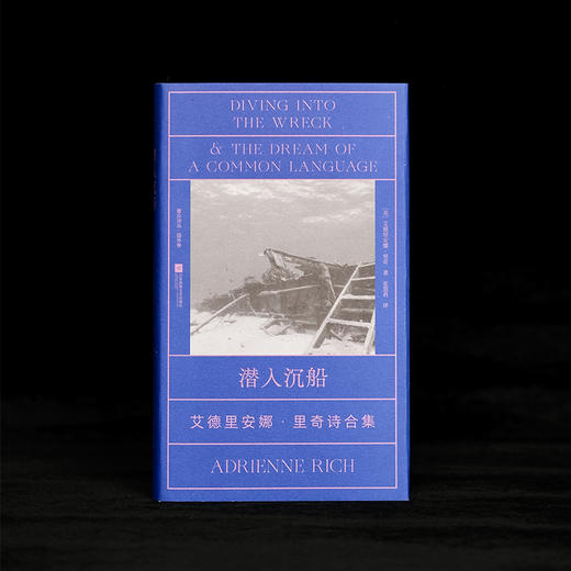 潜入沉船：艾德里安娜·里奇诗合集 商品图1
