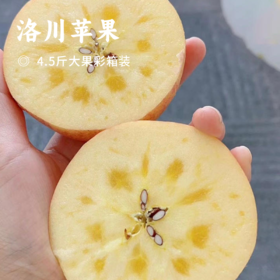 洛川苹果 | 国家地理标志产品   脆甜爆汁 皮薄可带皮吃  自然熟不打蜡  9甜1酸黄金比例
