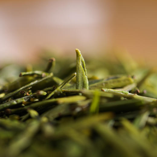 【宜宾雀舌 千年贡茶】 早春的一口鲜甜 茶汤黄绿明亮 早嫩鲜香 商品图2