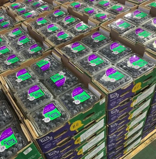 品牌云南纯甜蓝莓十二合一15+中果顺丰包邮*1.5kg 商品图5