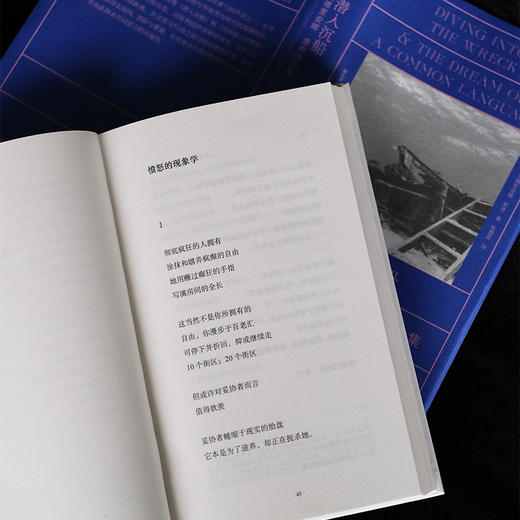 潜入沉船：艾德里安娜·里奇诗合集 商品图8