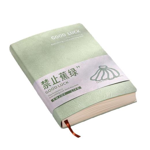 【高颜值氛围感笔记本】A5 软皮防水皮料加厚360页记事本 足量书写学生ins 风手账记事簿 商品图4