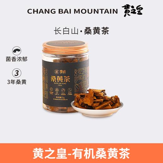 黄之皇长白山桑黄茶罐装50g 商品图0