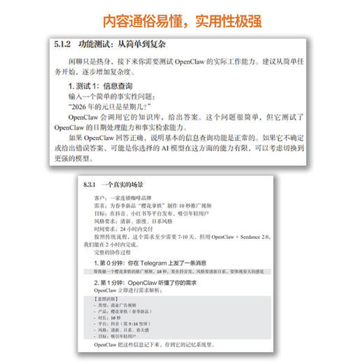 从OpenClaw到一人公司 商品图2