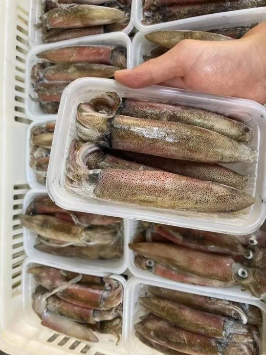 满膏的带籽母管鱿鱼，饱满肥美！东山岛必吃的招牌海鲜！清蒸白灼红烧爆炒干煎，美味极了 商品图3