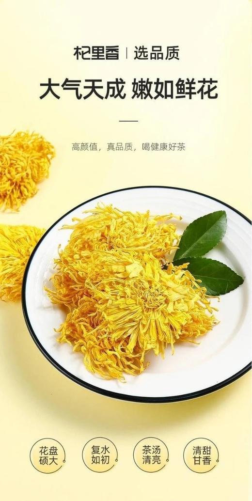 杞里香金丝皇菊  26Y04052- 商品图2