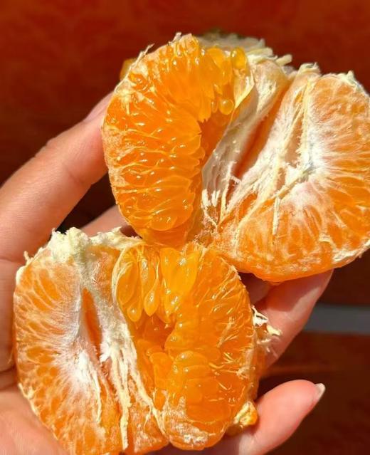 【会员15/斤】 探蜜熊大雅柑 商品图6