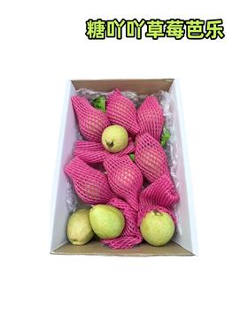 糖吖吖草莓芭乐