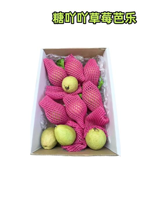 糖吖吖草莓芭乐 商品图0