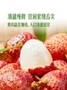 MM 山姆 桂花香荔枝 907g 商品缩略图3