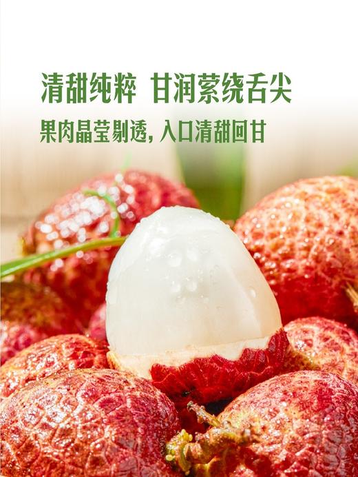 MM 山姆 桂花香荔枝 907g 商品图3