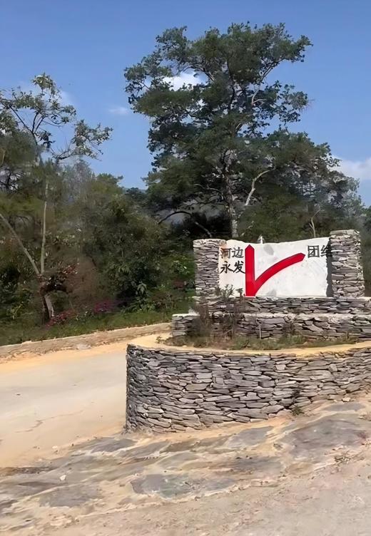 4月11日中午12点【团结丫口茶王地】2026年春茶预售茶界鼎级稀缺王比冰岛老寨茶王地更稀缺更高奢的鼎级产品，357克/饼 商品图6