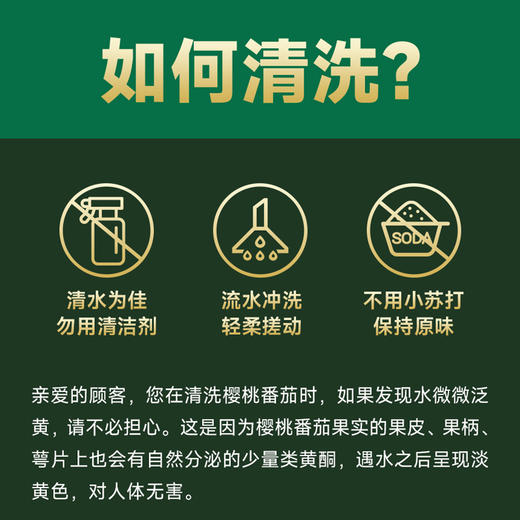 高原七彩樱桃番茄（红黄双拼）甄选礼盒 商品图4