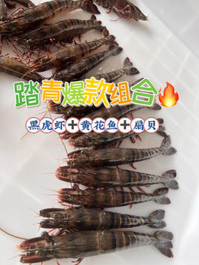 精选野生海鲜组合，好吃易做😋！周末家庭小聚必入！码头新鲜活冻顺丰直发，最快次日送到！