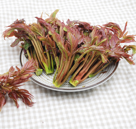 【QT】新鲜香椿 香椿芽