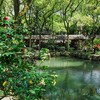 漫游舟山丨登普陀山海天揽胜，金沙碧浪相伴，东海之巅的群岛浪漫！ 商品缩略图2