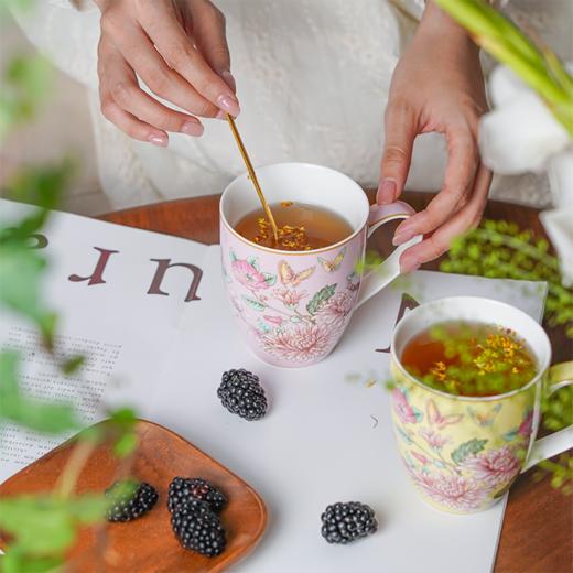 【AYNSLEY/安斯丽】 蝴蝶花园马克杯套装 350ml*4 商品图2