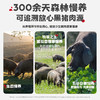 【惊喜5折券可用】忆小口森林慢养黑猪午餐肉（原味）192g/6片 商品缩略图8