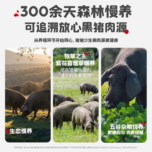 【惊喜5折券可用】忆小口森林慢养黑猪午餐肉（原味）192g/6片 商品图8