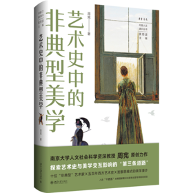 艺术史中的非典型美学 丹曾人文通识丛书 周宪 著  黄怒波 主编 北京大学出版社