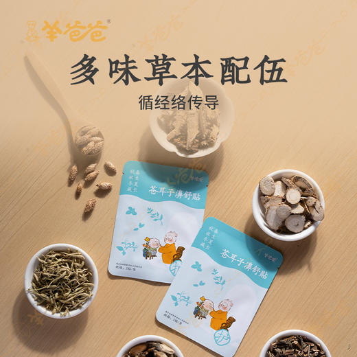 升级【苍耳子濞舒贴】草本膏贴，鼻鼻通 呼吸畅 商品图1