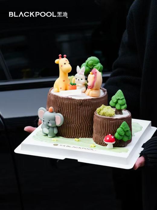 动物派对 |  黑池 商品图0